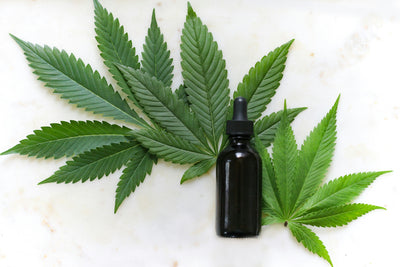 Kanna vs THC: Does Kanna Have THC?