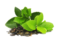 Green Tea Caffeine